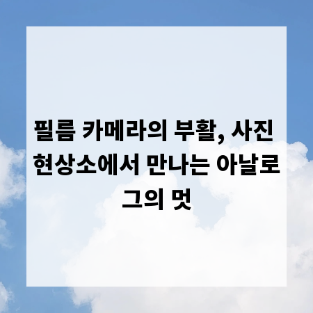 필름 카메라의 부활, 사진 현상소에서 만나는 아날로그의 멋
