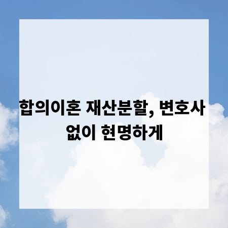 합의이혼 재산분할, 변호사 없이 현명하게