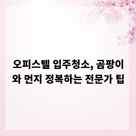 오피스텔 입주청소, 곰팡이와 먼지 정복하는 전문가 팁