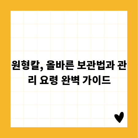 원형칼, 올바른 보관법과 관리 요령 완벽 가이드