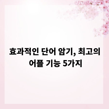 효과적인 단어 암기, 최고의 어플 기능 5가지