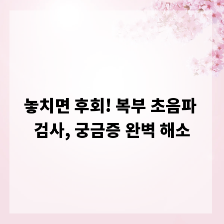 놓치면 후회! 복부 초음파 검사, 궁금증 완벽 해소