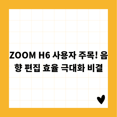 ZOOM H6 사용자 주목! 음향 편집 효율 극대화 비결