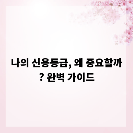 나의 신용등급, 왜 중요할까? 완벽 가이드