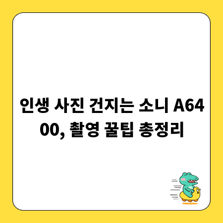 인생 사진 건지는 소니 A6400, 촬영 꿀팁 총정리