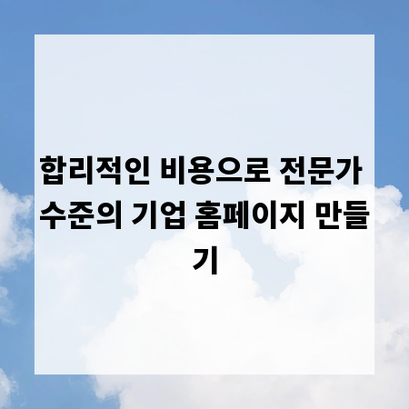 합리적인 비용으로 전문가 수준의 기업 홈페이지 만들기