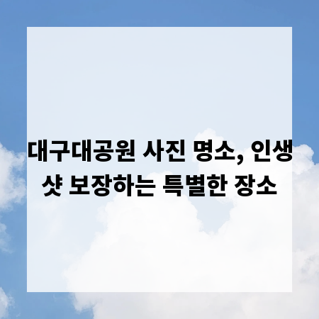 대구대공원 사진 명소, 인생샷 보장하는 특별한 장소