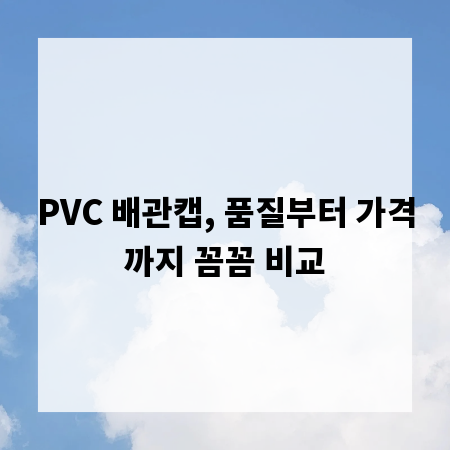 PVC 배관캡, 품질부터 가격까지 꼼꼼 비교
