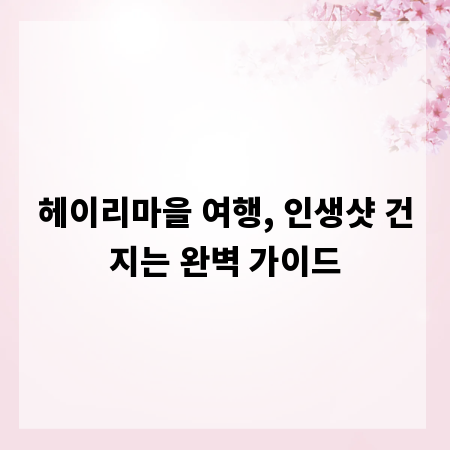 헤이리마을 여행, 인생샷 건지는 완벽 가이드