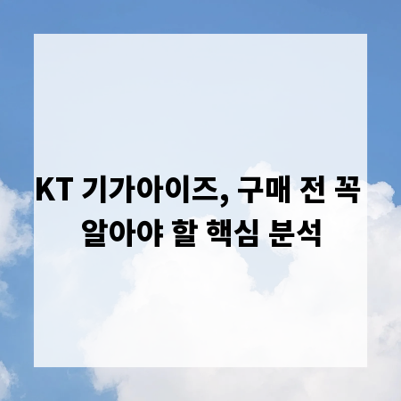 KT 기가아이즈, 구매 전 꼭 알아야 할 핵심 분석
