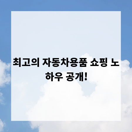 최고의 자동차용품 쇼핑 노하우 공개!