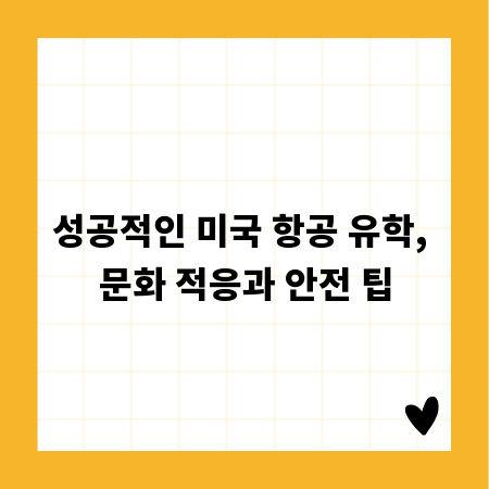 성공적인 미국 항공 유학, 문화 적응과 안전 팁