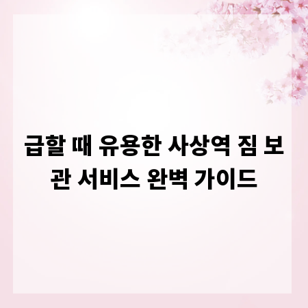 급할 때 유용한 사상역 짐 보관 서비스 완벽 가이드