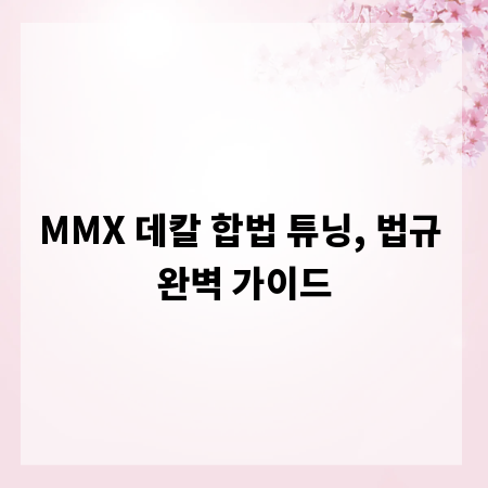 MMX 데칼 합법 튜닝, 법규 완벽 가이드