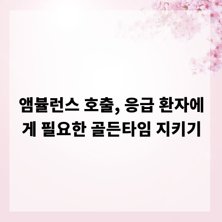 앰뷸런스 호출, 응급 환자에게 필요한 골든타임 지키기