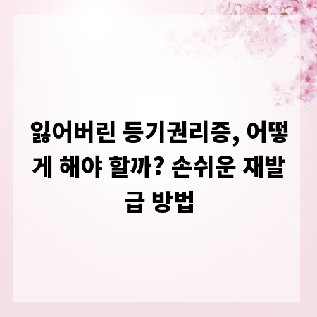 잃어버린 등기권리증, 어떻게 해야 할까? 손쉬운 재발급 방법