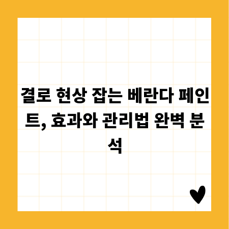 결로 현상 잡는 베란다 페인트, 효과와 관리법 완벽 분석
