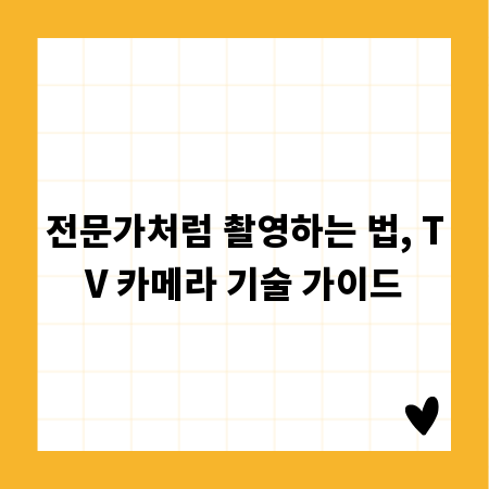 전문가처럼 촬영하는 법, TV 카메라 기술 가이드