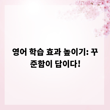영어 학습 효과 높이기: 꾸준함이 답이다!