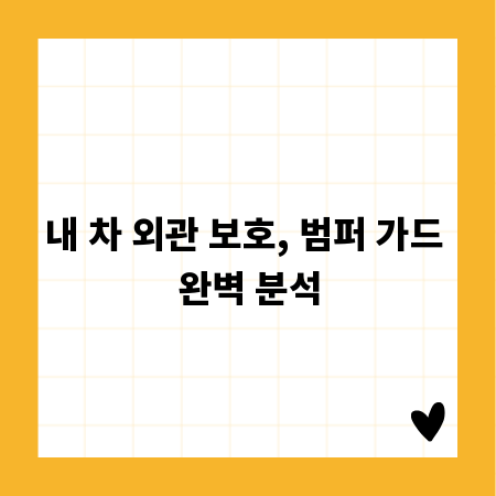 내 차 외관 보호, 범퍼 가드 완벽 분석