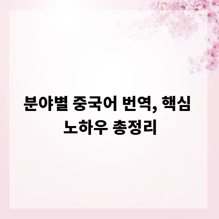 분야별 중국어 번역, 핵심 노하우 총정리