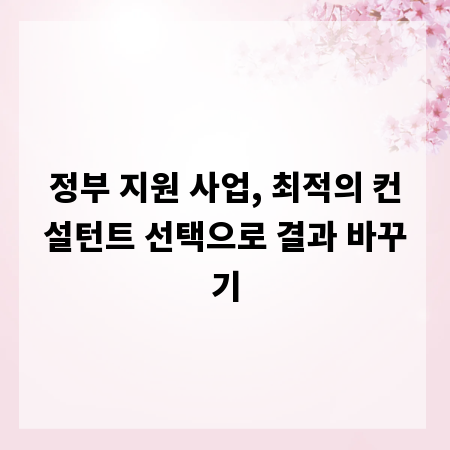 정부 지원 사업, 최적의 컨설턴트 선택으로 결과 바꾸기