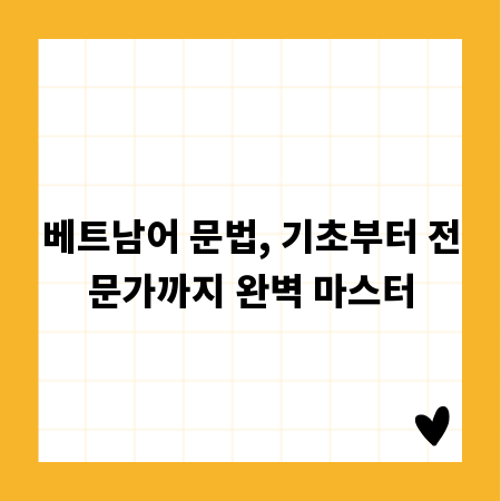 베트남어 문법, 기초부터 전문가까지 완벽 마스터