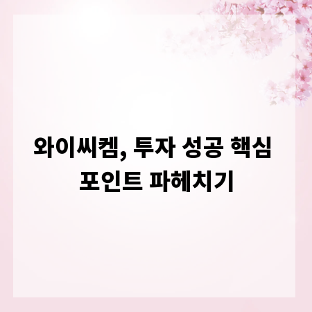 와이씨켐, 투자 성공 핵심 포인트 파헤치기