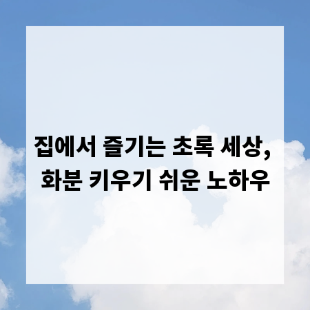 집에서 즐기는 초록 세상, 화분 키우기 쉬운 노하우