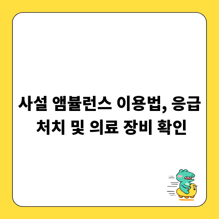 사설 앰뷸런스 이용법, 응급 처치 및 의료 장비 확인