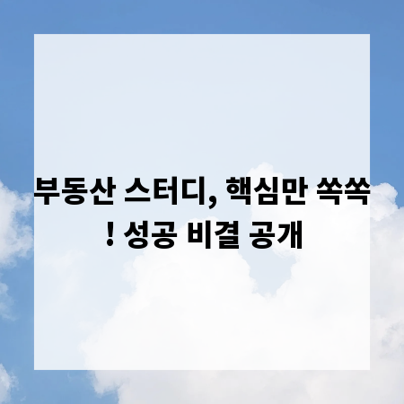 부동산 스터디, 핵심만 쏙쏙! 성공 비결 공개