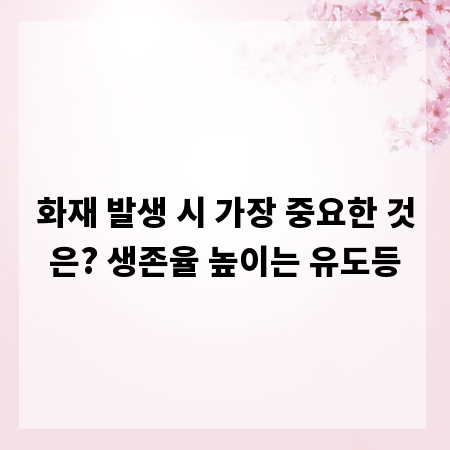 화재 발생 시 가장 중요한 것은? 생존율 높이는 유도등