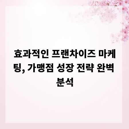 효과적인 프랜차이즈 마케팅, 가맹점 성장 전략 완벽 분석