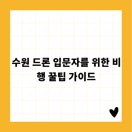 수원 드론 입문자를 위한 비행 꿀팁 가이드