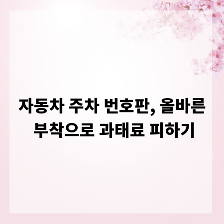 자동차 주차 번호판, 올바른 부착으로 과태료 피하기