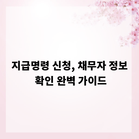 지급명령 신청, 채무자 정보 확인 완벽 가이드