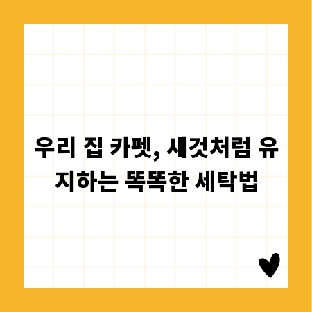 우리 집 카펫, 새것처럼 유지하는 똑똑한 세탁법