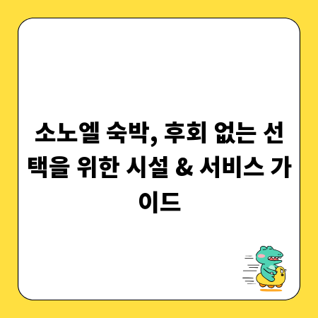 소노엘 숙박, 후회 없는 선택을 위한 시설 & 서비스 가이드