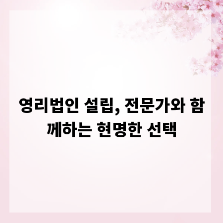 영리법인 설립, 전문가와 함께하는 현명한 선택