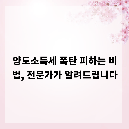 양도소득세 폭탄 피하는 비법, 전문가가 알려드립니다