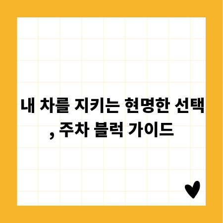 내 차를 지키는 현명한 선택, 주차 블럭 가이드