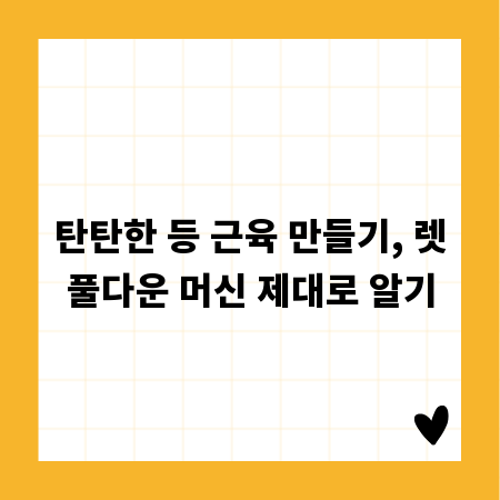 탄탄한 등 근육 만들기, 렛풀다운 머신 제대로 알기