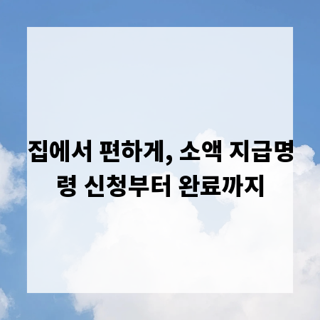집에서 편하게, 소액 지급명령 신청부터 완료까지
