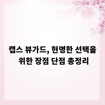 캡스 뷰가드, 현명한 선택을 위한 장점 단점 총정리
