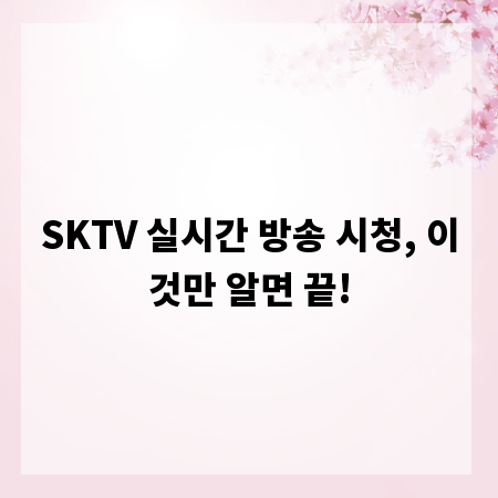 SKTV 실시간 방송 시청, 이것만 알면 끝!
