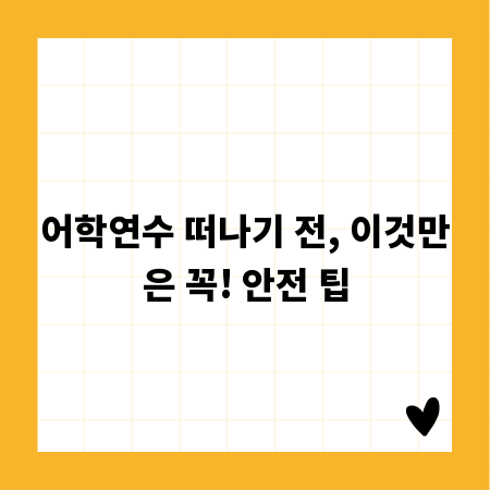 어학연수 떠나기 전, 이것만은 꼭! 안전 팁
