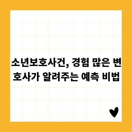 소년보호사건, 경험 많은 변호사가 알려주는 예측 비법