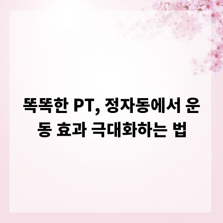 똑똑한 PT, 정자동에서 운동 효과 극대화하는 법