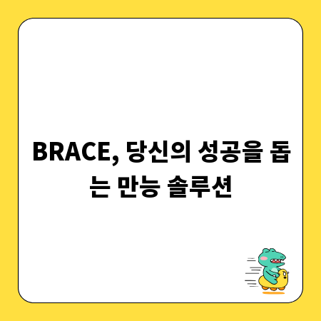 BRACE, 당신의 성공을 돕는 만능 솔루션