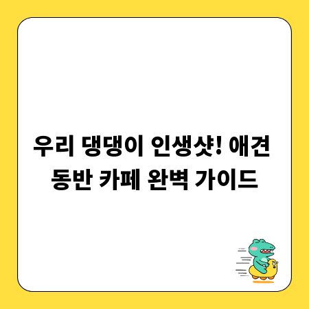 우리 댕댕이 인생샷! 애견 동반 카페 완벽 가이드